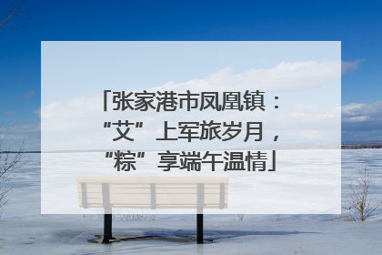 张家港市凤凰镇：“艾”上军旅岁月，“粽”享端午温情